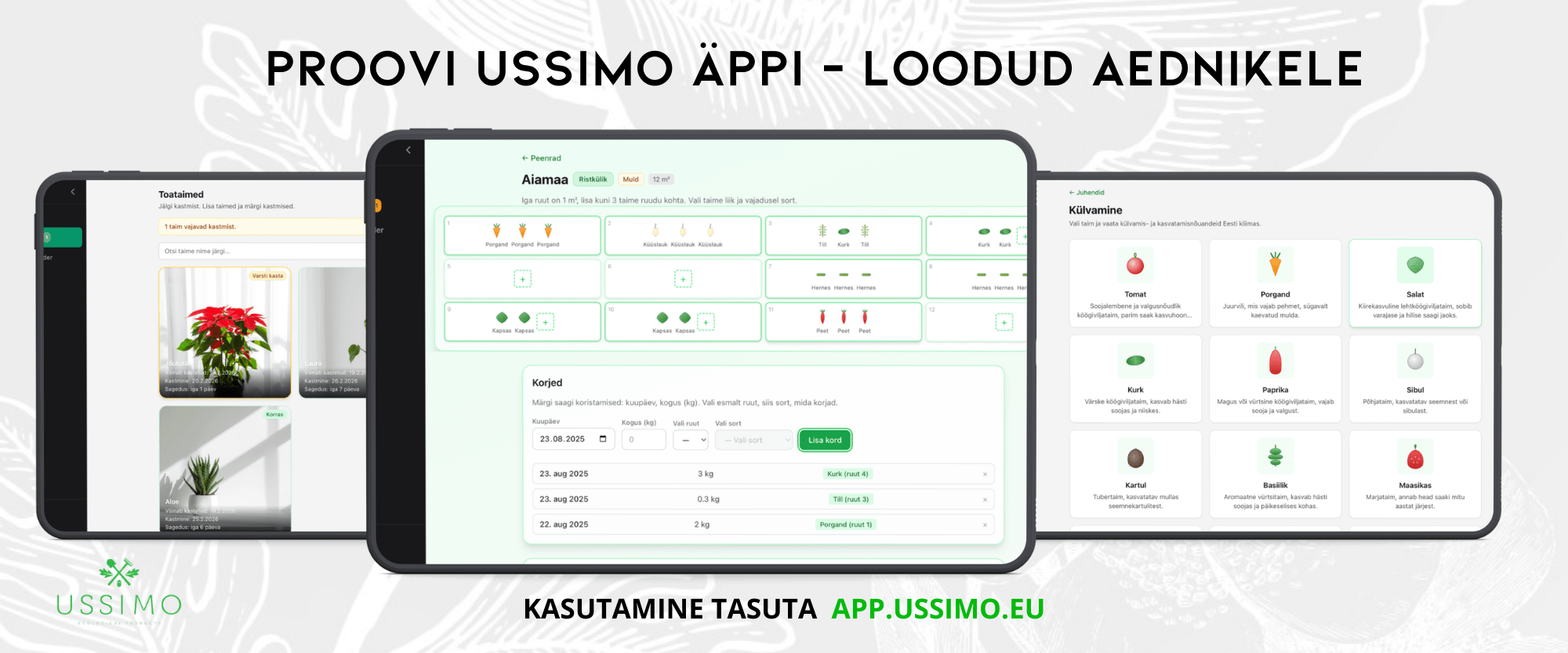 Mul On Sitaks Vihmausse