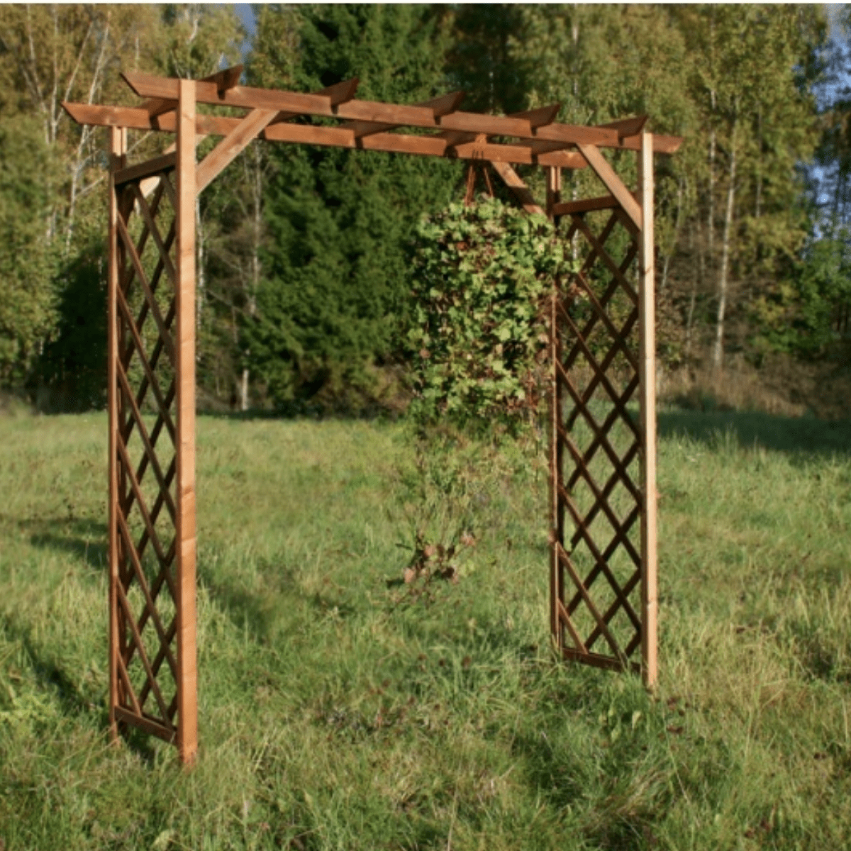 Puidust pergola - Image 2